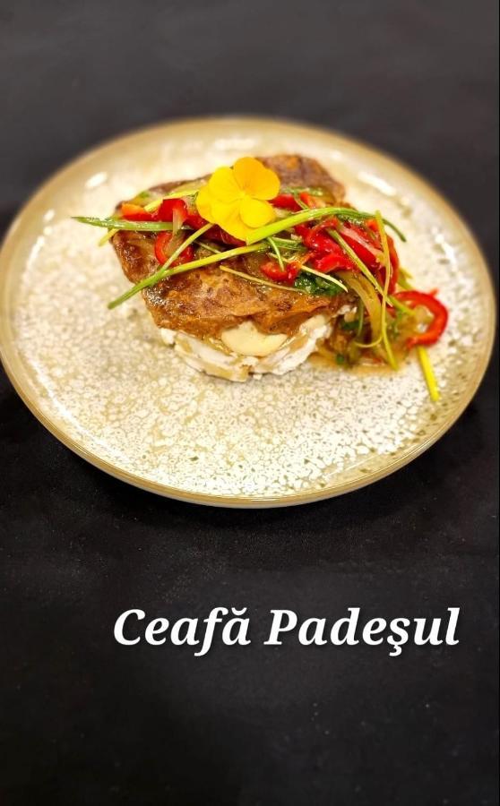 Hotel Padesul Făget Εξωτερικό φωτογραφία